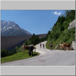 2010-06-28-11h50m29_Thoralf.jpg