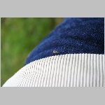 2007-08-03-16h00m59.IMG_1597_Daniel.jpg