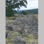 2007-08-05-13h28m02.CIMG2136_Friederike.jpg